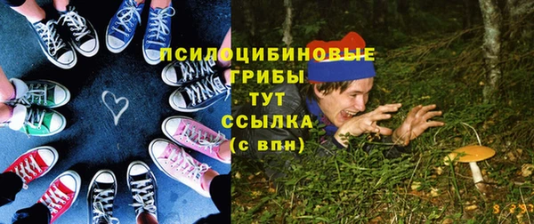 первитин Каменка