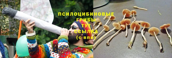 первитин Каменка